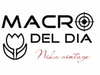 Macro del dia