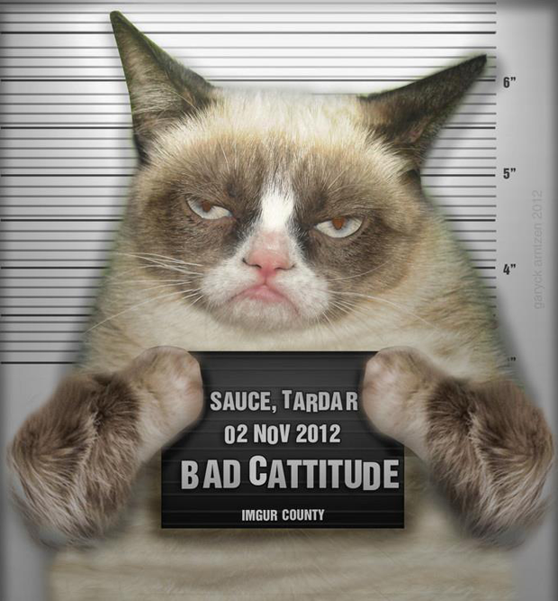 Grumpy cat (part 2) | Funny Grumpy cat memes