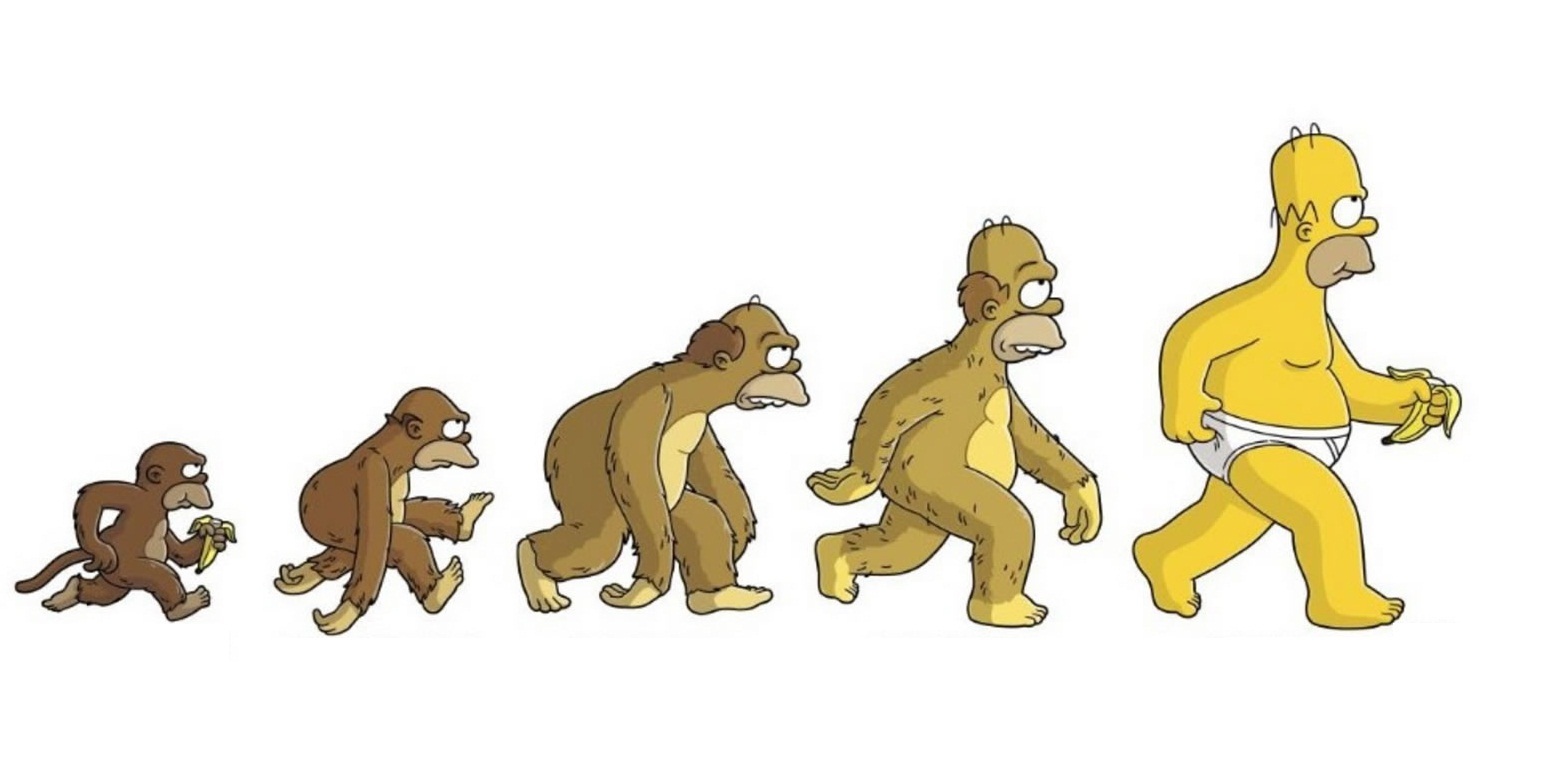 Evolução?