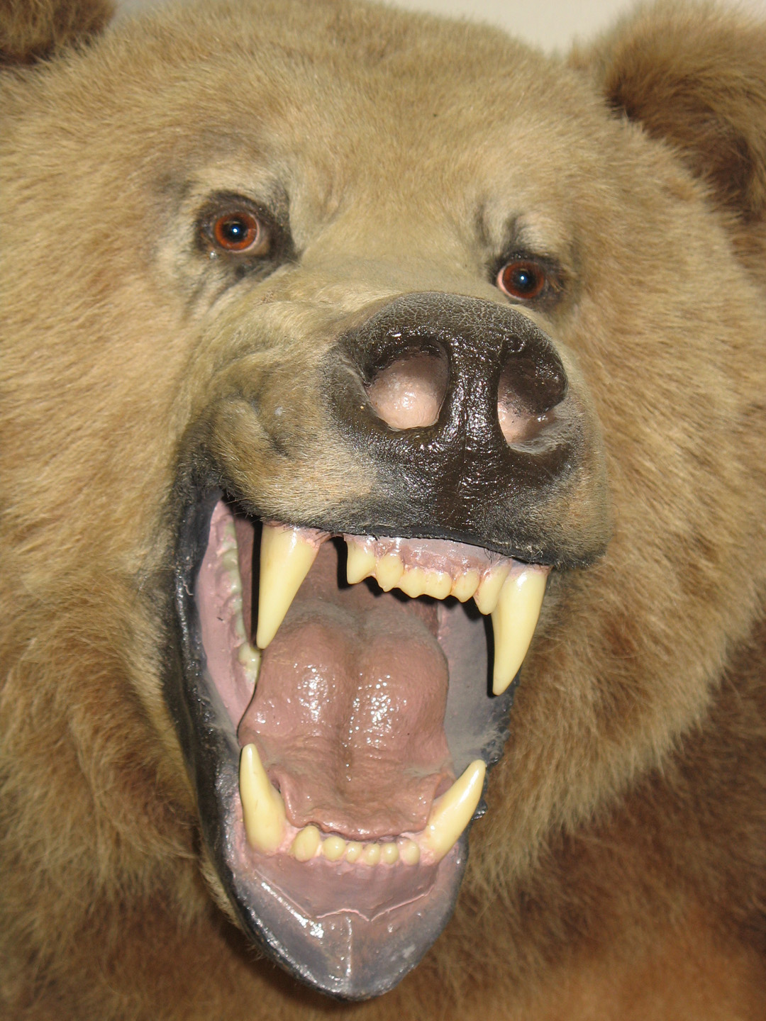 Eccentric Roadside Ah, look at all the lovely people Rigby, Idaho's