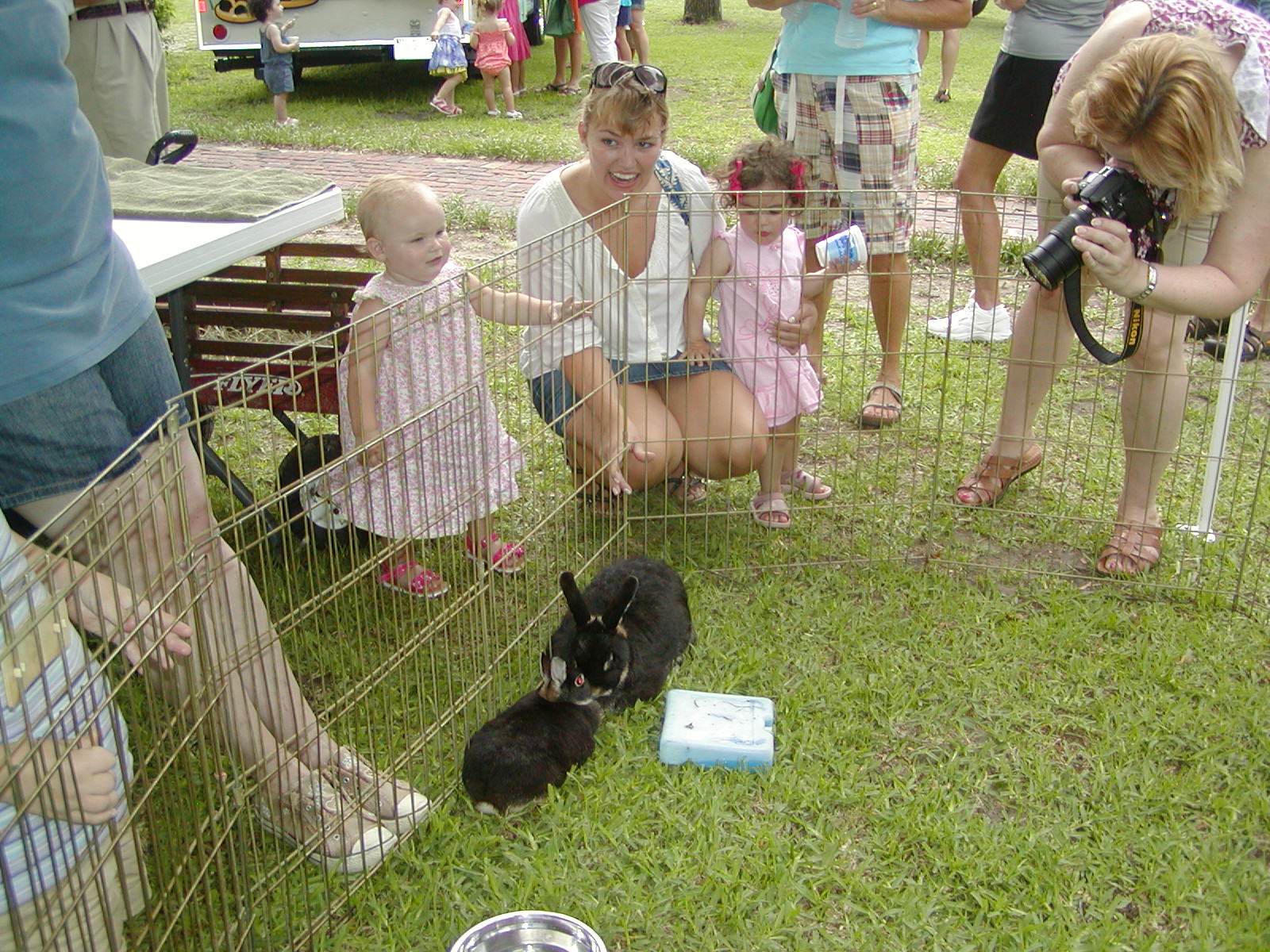 Wilmington NC Events Poplar Grove Plantation Farmers' Market