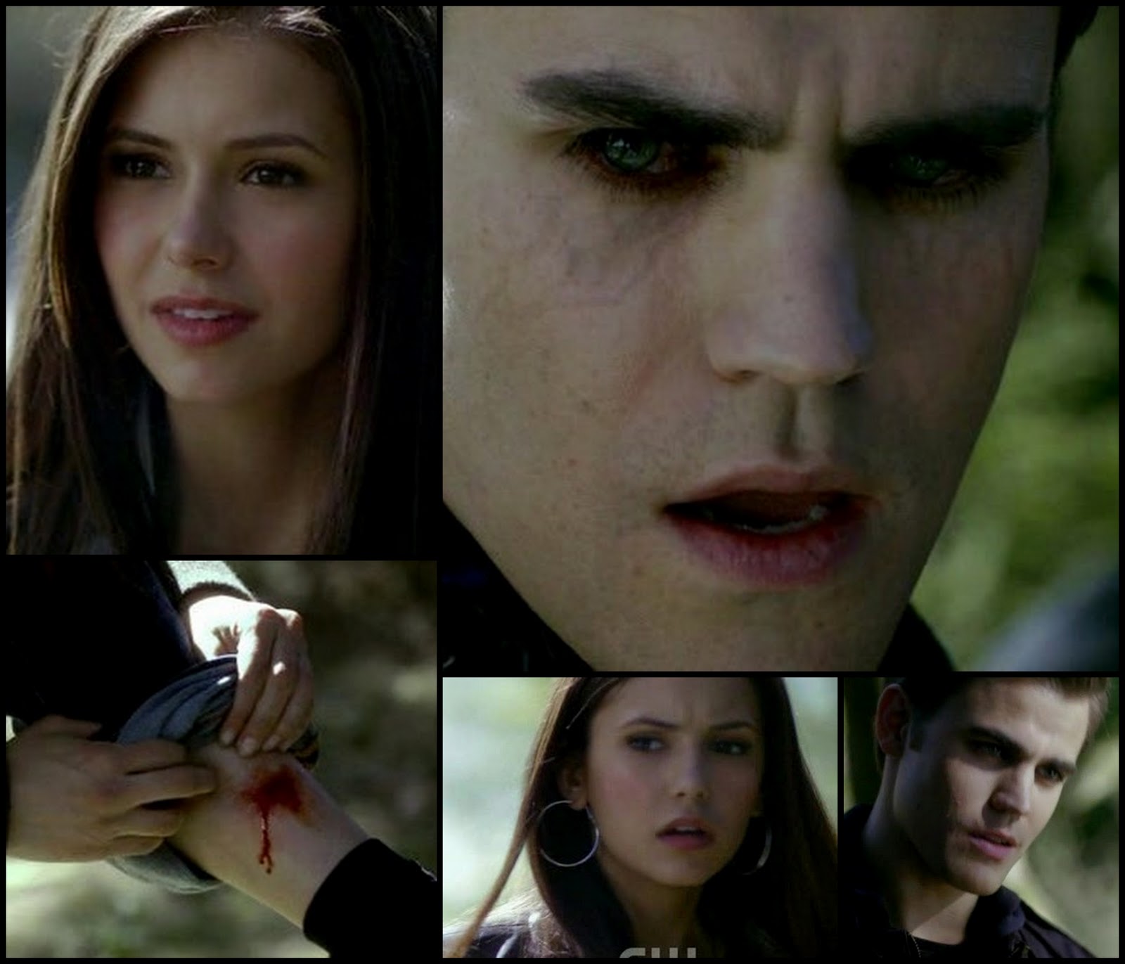 Quando Si Mettono Insieme Stefan E Caroline