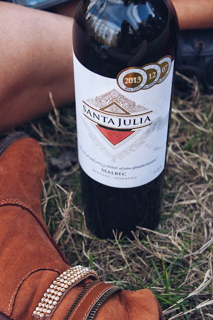 Vinho Santa Julia Malbec