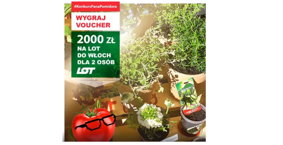 Wygraj voucher o wartości 2000 zł na lot do Włoch Konkurs