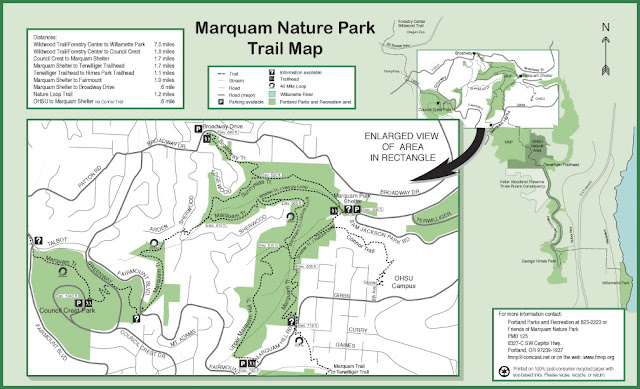 Marquam Nature Park To Council Crest Marquam Nature Park To Council Crest