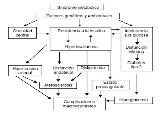 Etiopatogenia Síndrome metabólico