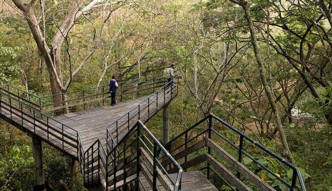 ecotourism ecotourism