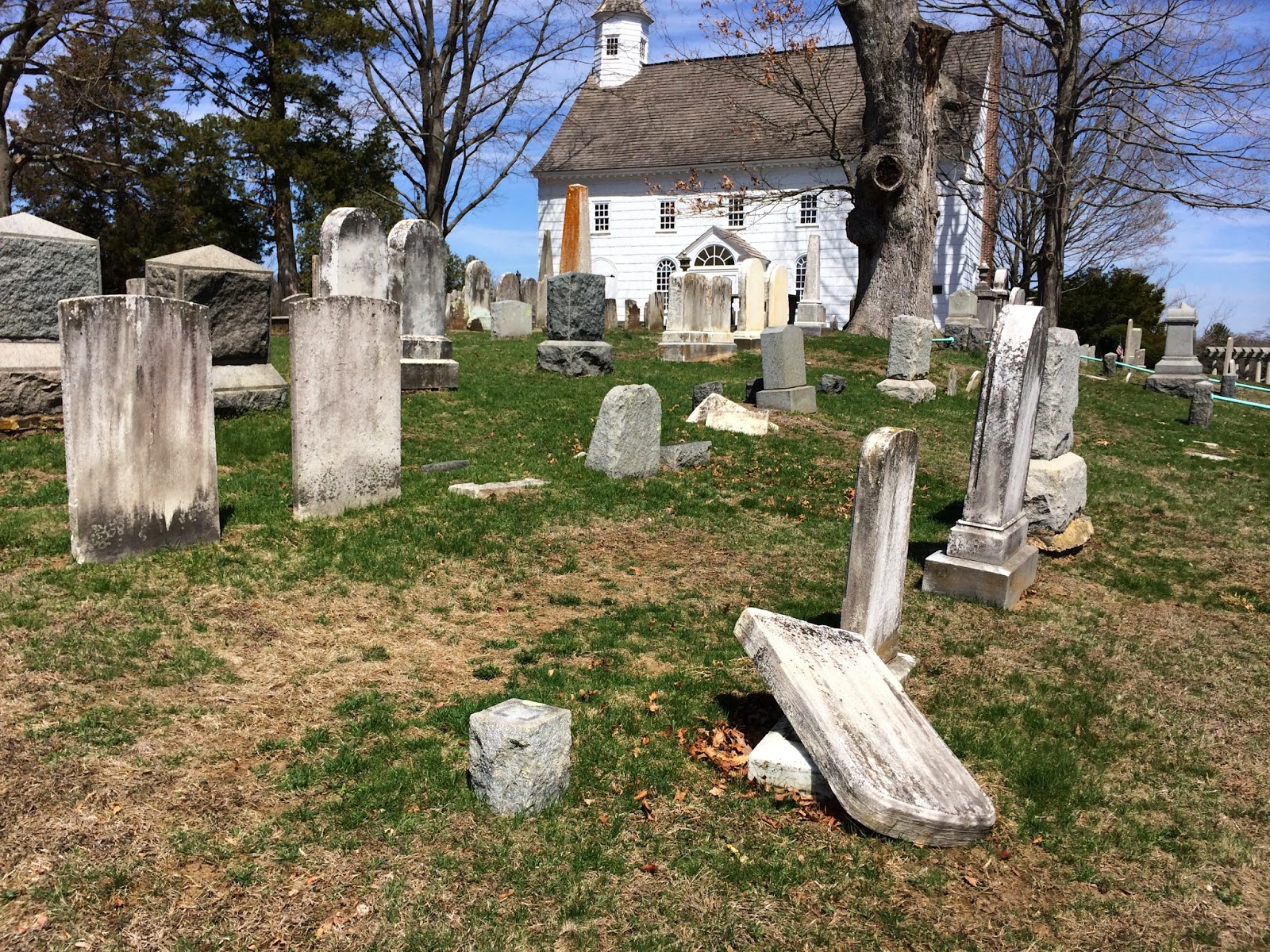 дом около кладбища. жк айно петербург кладбище. славянское кладбище. дом у кладбища. дом около кладбища.