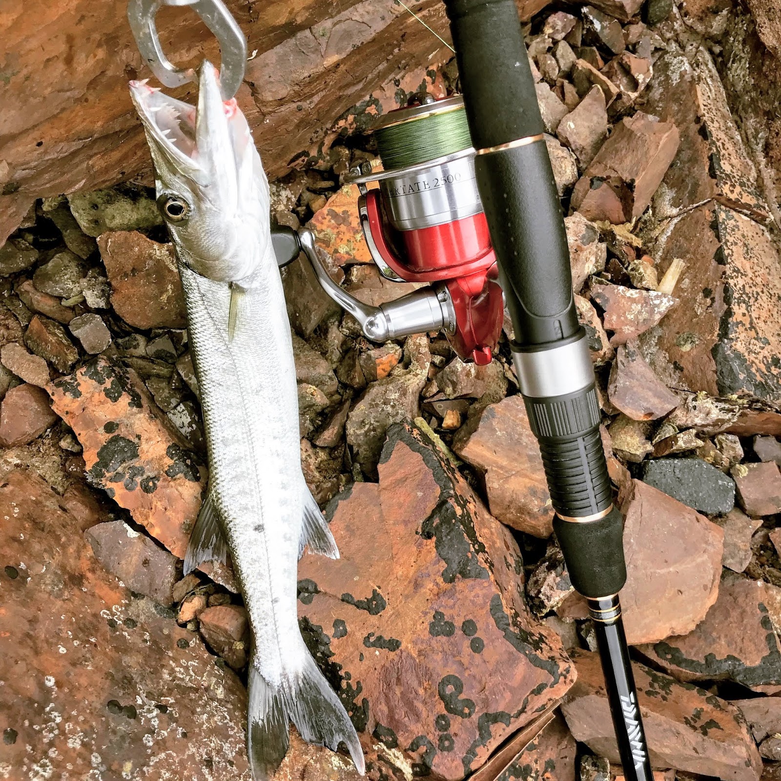 Super Light Shore Jigging 2025