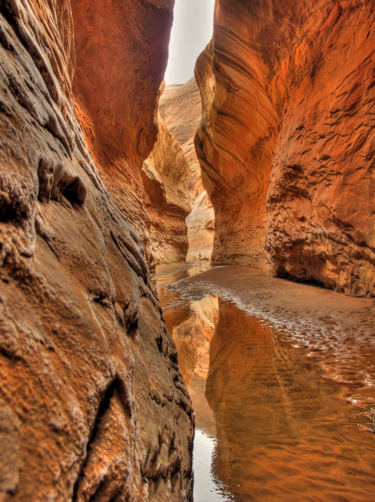 Life in Escalante 31 Incredible Day Hikes in Escalante, Utah