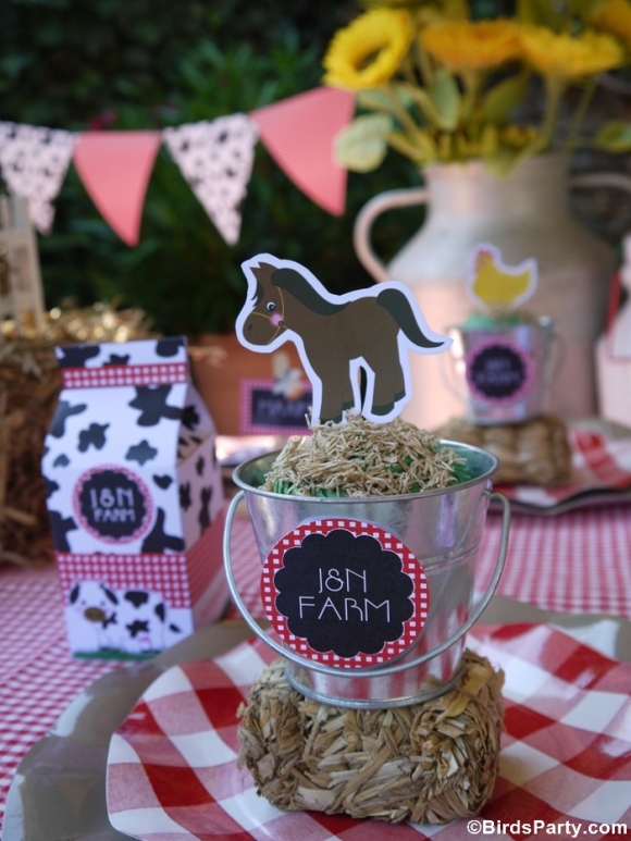 Barnyard Birthday Party: DIY Farm Animal Cupcake Pails Recipe - BirdsParty.com