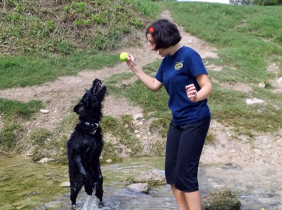 Austin Dog Mom Dog Park Reviews Onion Creek