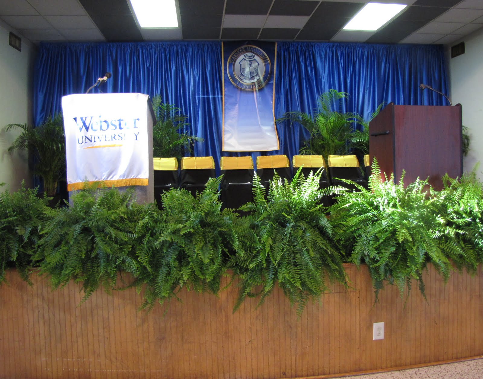 Graduation Stage Design Ideas