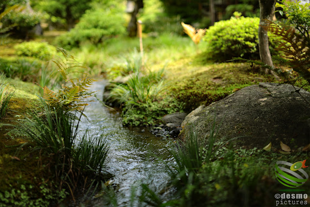 京都～天龍寺