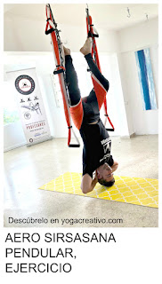 aeroyoga, yoga aereo, aerial yoga, air yoga, formacion, cursos, noticias, certificacion, acreditacion, profesorado, sirsasana, posturas, ejercicios, salud, tendencias