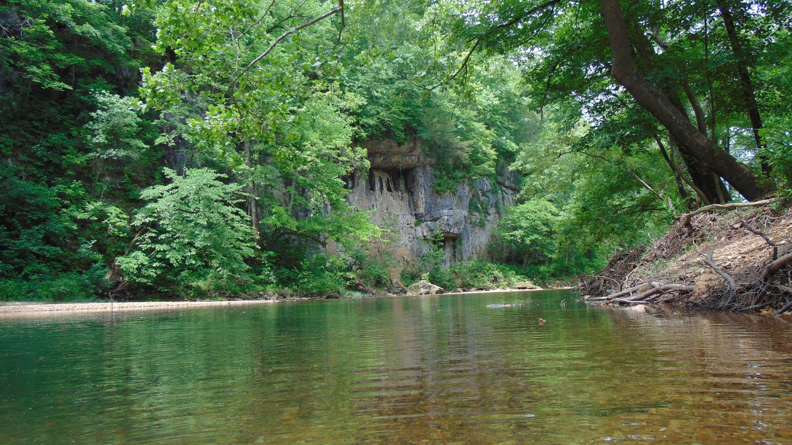 The Ozarks Smallmouth Alliance