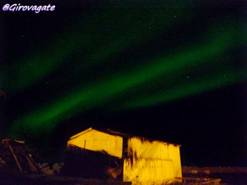 aurora boreale andenes magicnorway