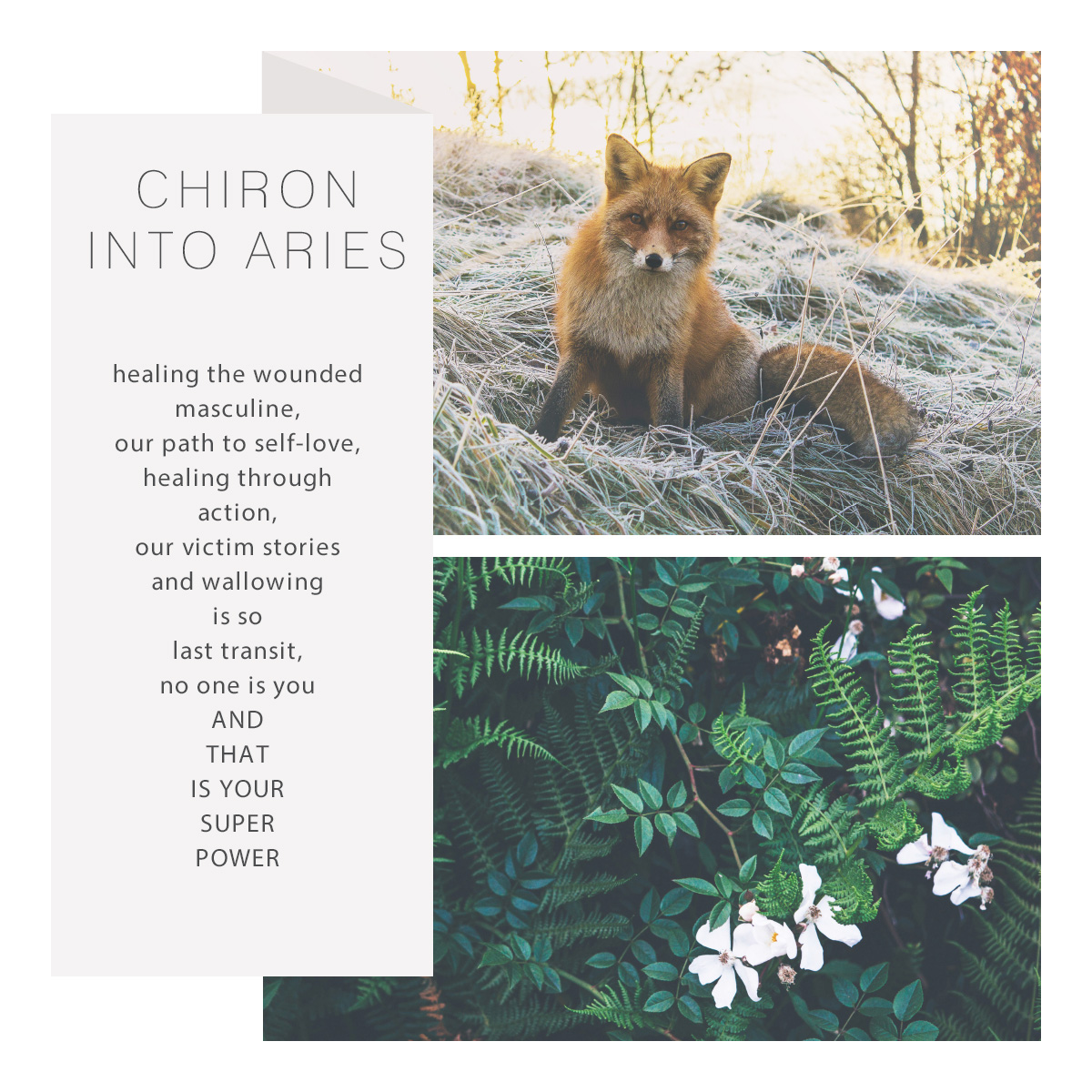 Chiron in Aries 2019 - 2027