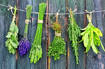 Best Kitchen Herb To Smoke Best Kitchen Herb To Smoke