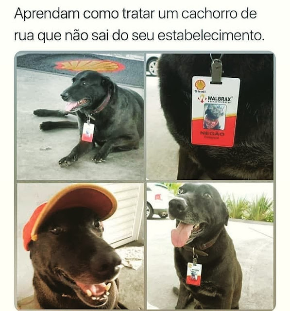 Memes engraçados Memes engraçados
