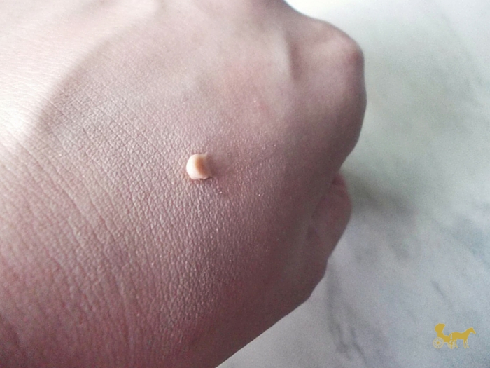 FS Primer Swatch features_&_shades_fs_cosmetics_review_4
