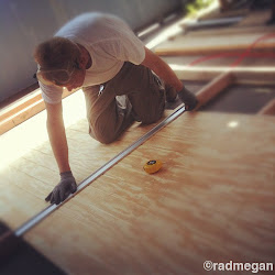 coop constructing chicken