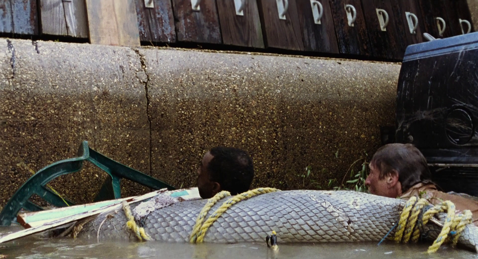 Hub1 MihanPix - Download Movies TV Shows