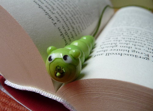 Willkommen, liebe Bücherwürmer!