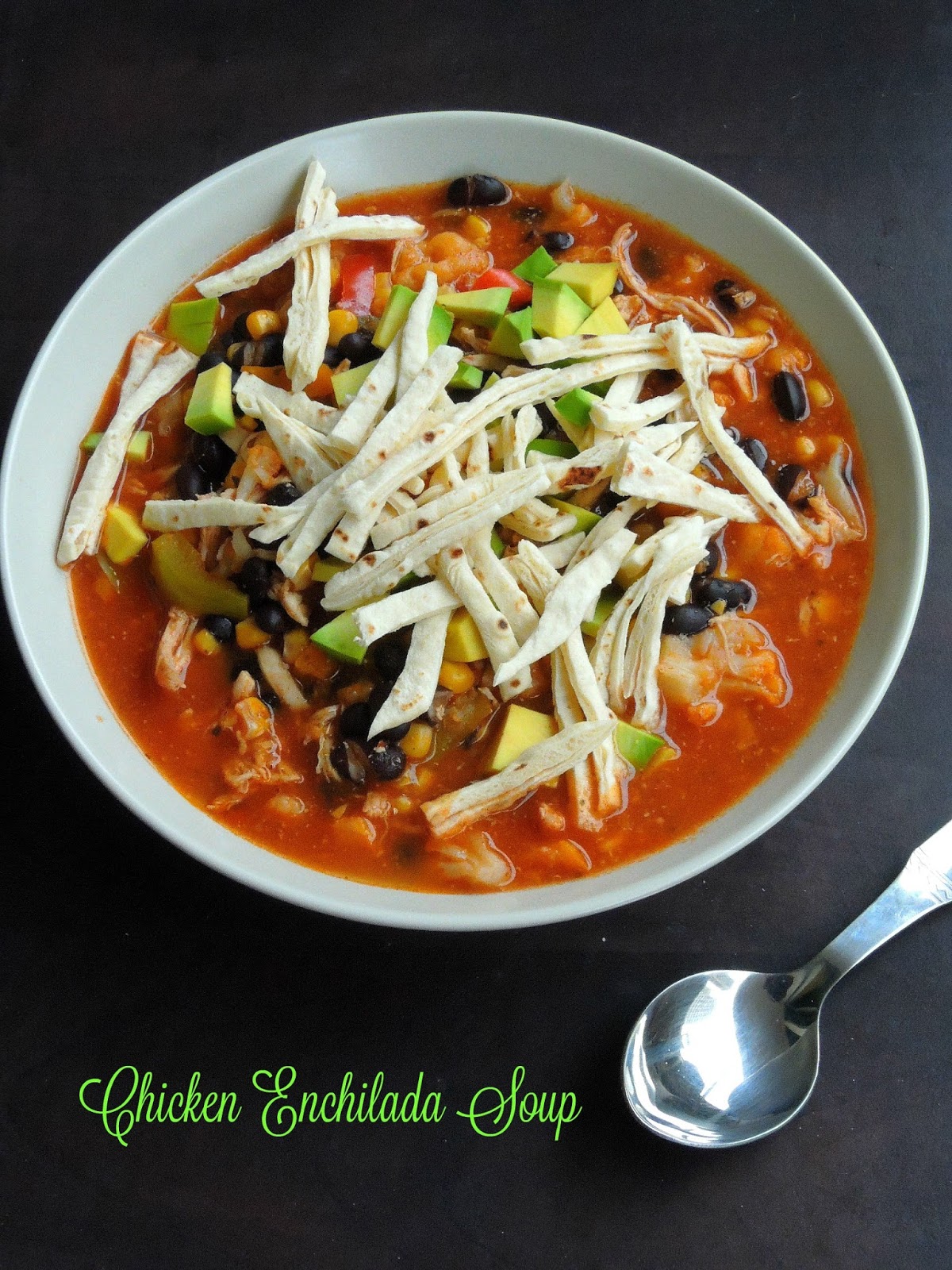 Priya's Versatile Recipes Vegetable & Chicken Enchilada Soup