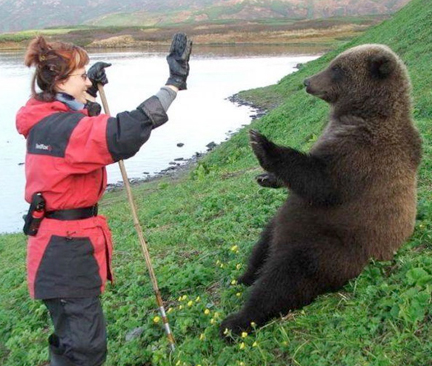 chippep: UNUSUAL PAIRS, concluded