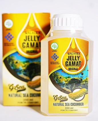 Gangguan Fungsi Hati