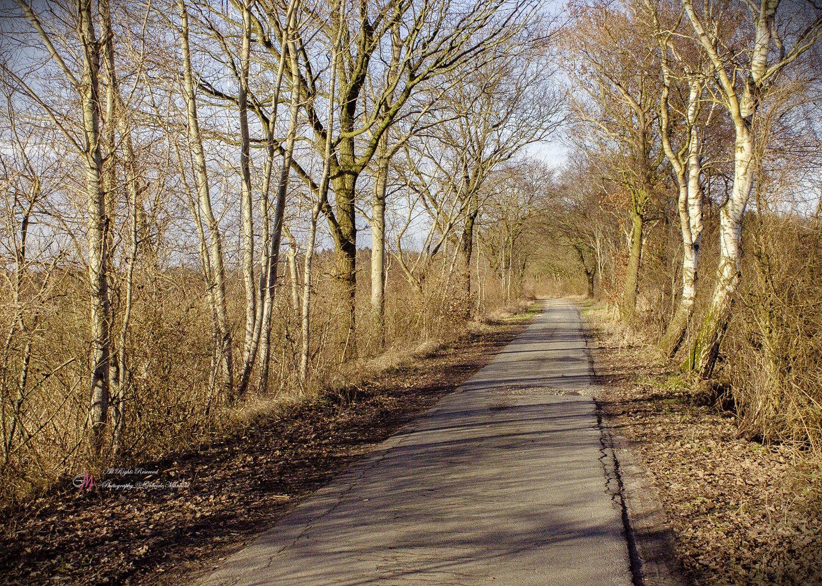 Winterende Winterende