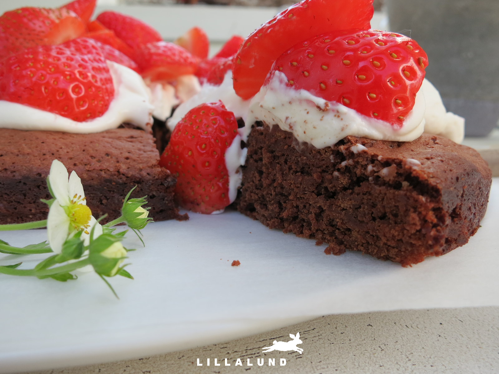 LILLALUND: Erdbeer-Schokoladenkuchen mit Vanillesahne