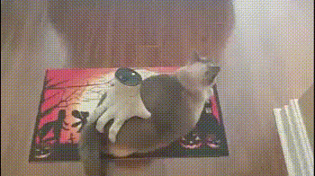 4.gif