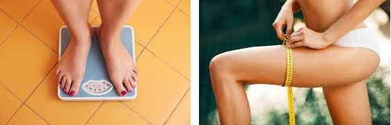 Comprar Produtos para Emagrecer, emagrecimento rápido, dicas de emagrecimento, Dicas de Alimentos para Emagrecer, Dieta para Emagrecer, Perder Peso Rápido, e muito mais! Comprar Produtos para Emagrecer, emagrecimento rápido, dicas de emagrecimento, Dicas de Alimentos para Emagrecer, Dieta para Emagrecer, Perder Peso Rápido, e muito mais!