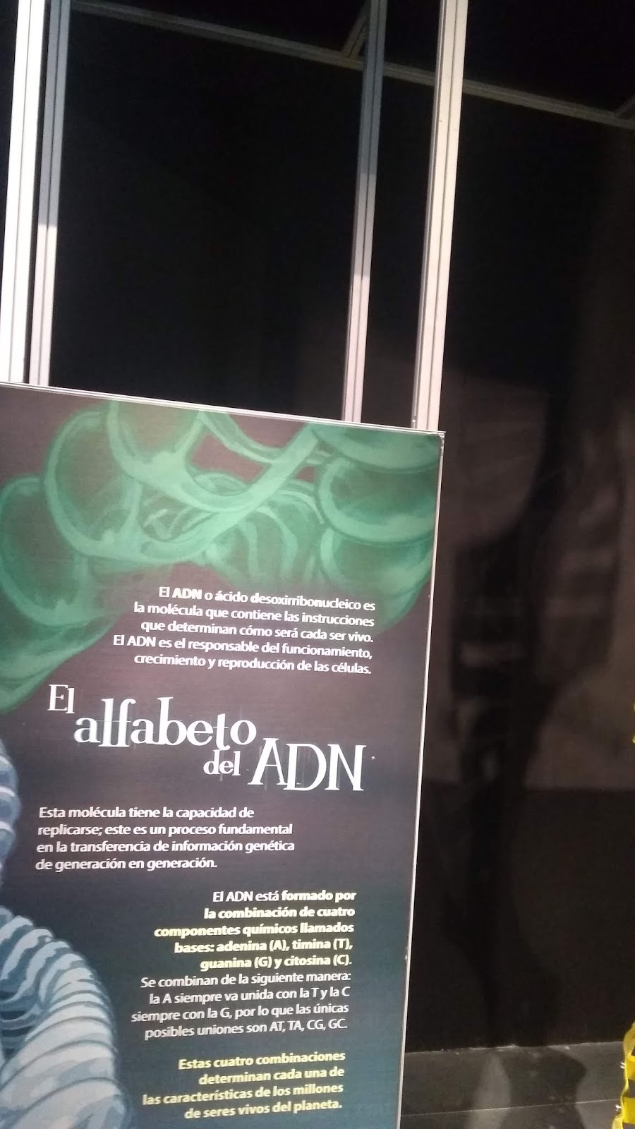 Dime De Donde Vienes Y Te Dire Quien Eres Letra Dime tus genes y te diré quien eres