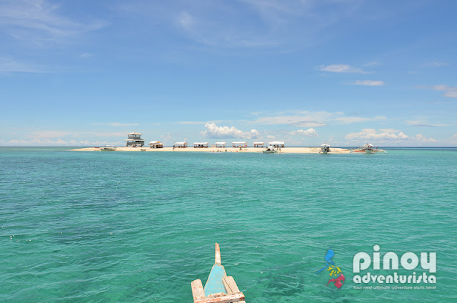 Your Travel Guide: Carbin and Panal Reef