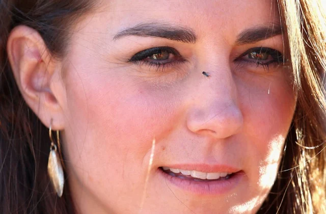 Kate Middleton Wore Style Dress Jewelry