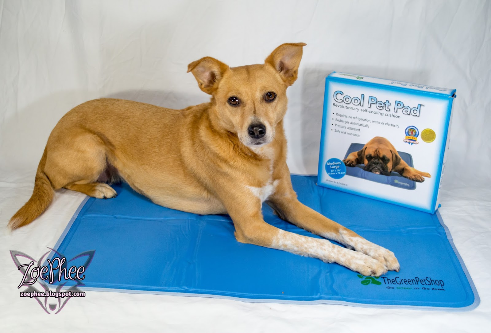 the green pet shop cool pet pad reviews