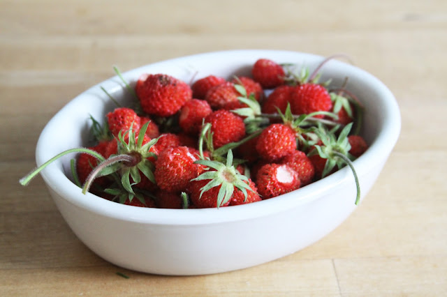 strawberries, wild strawberries, spring harvest, gardening, Anne Butera, My Giant Strawberry