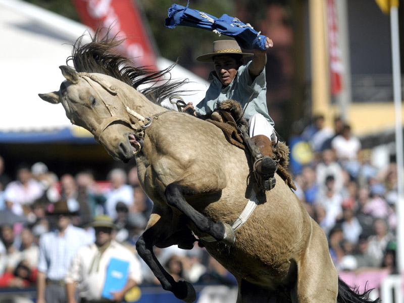 All Sports Blog: Rodeo competition in Uruguay