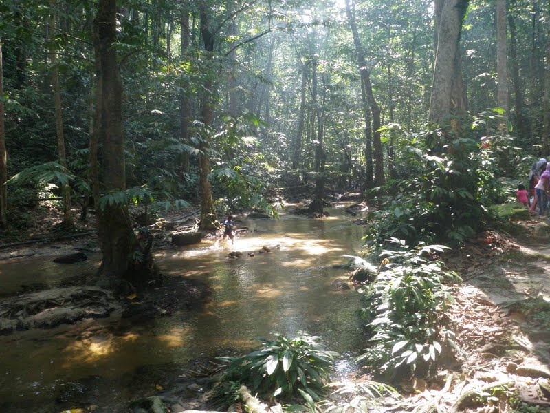Unschooling Homeschool Air Terjun Sg Tekala Hutan Lipur Unschooling Homeschool Air Terjun Sg Tekala Hutan Lipur