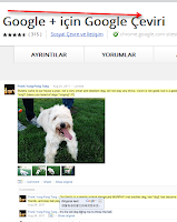 Google + çeviri