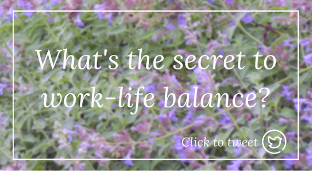 Collecting Moments: The Five Truths About Work-Life Balance: A Book Review