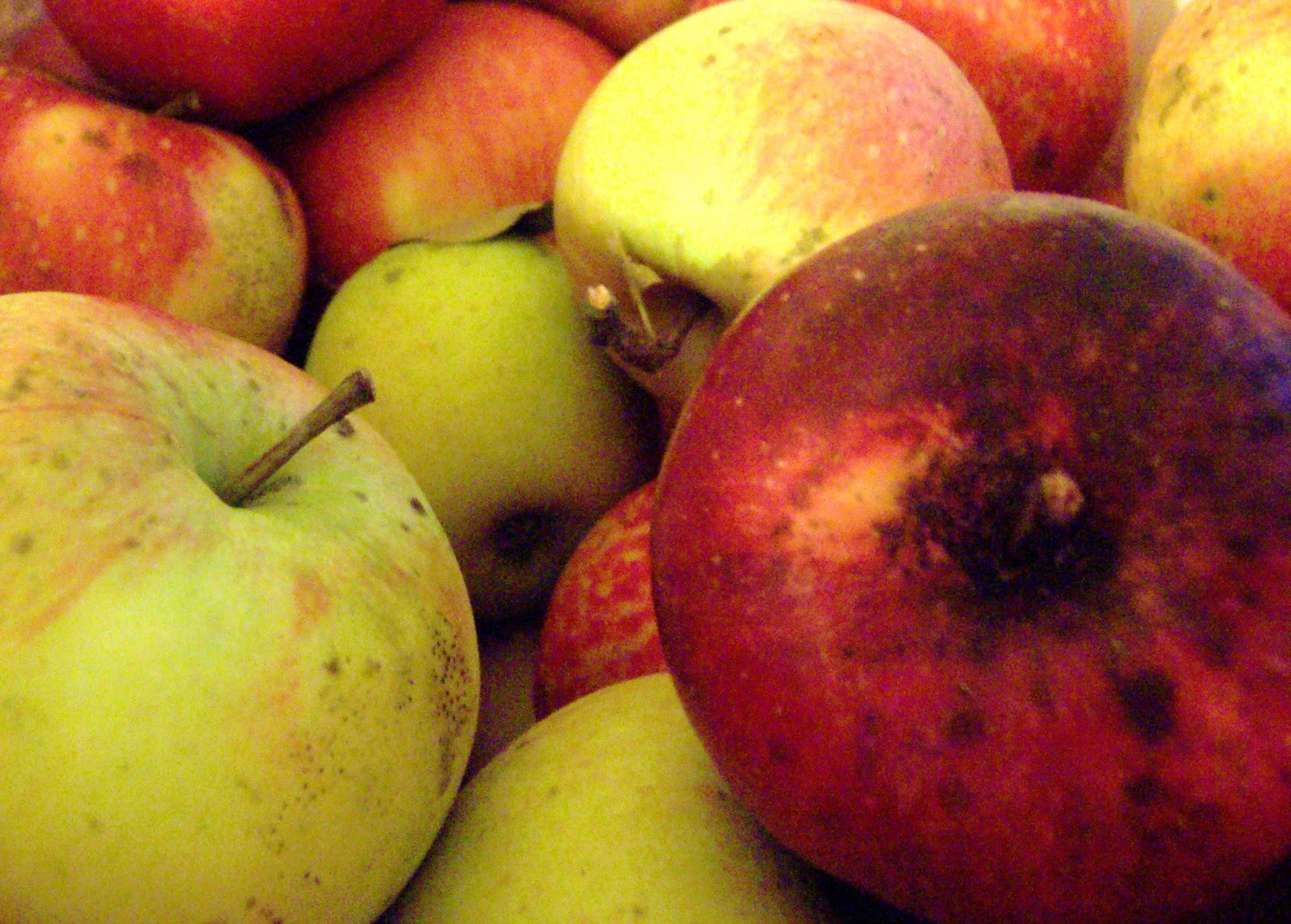 City Sister Country Sister Apples...Mountains of Apples...