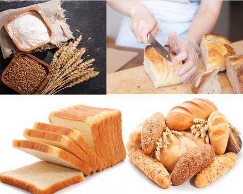 Bread Making Business Bread Making Business