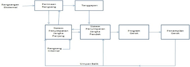 Proses pengolahan informasi gerak Proses pengolahan informasi gerak