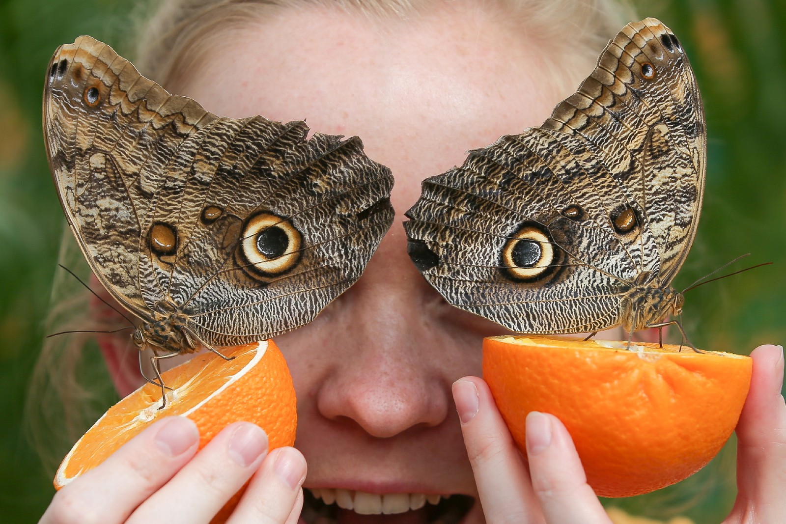 Visitante Faz Foto Perfeita Ao Posar Com Borboletas Coruja Revista Nos E Outros Olhos