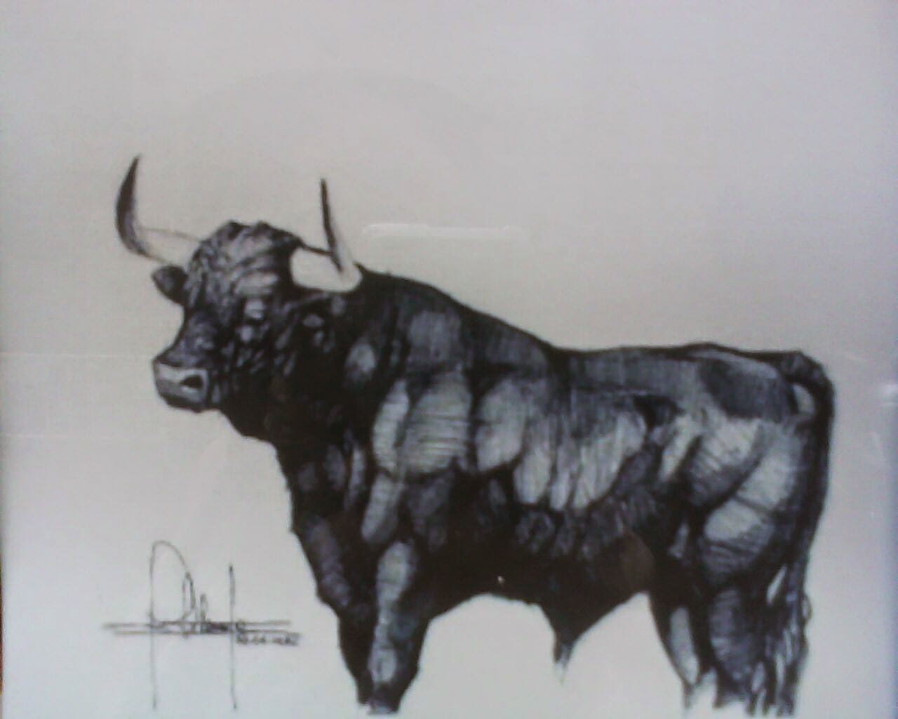 DIBUJO  CON  TORO