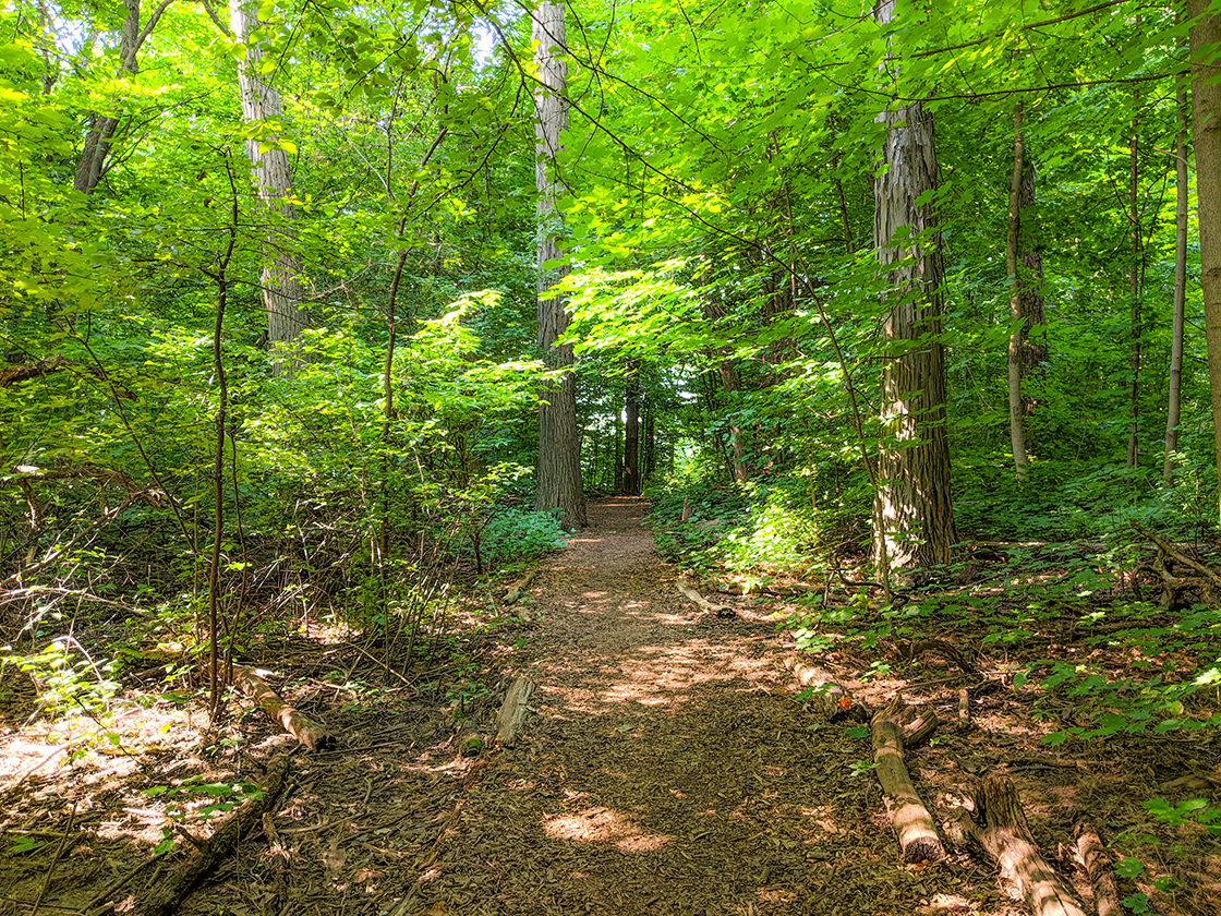 UW Lakeshore Preserve Hiking Trails